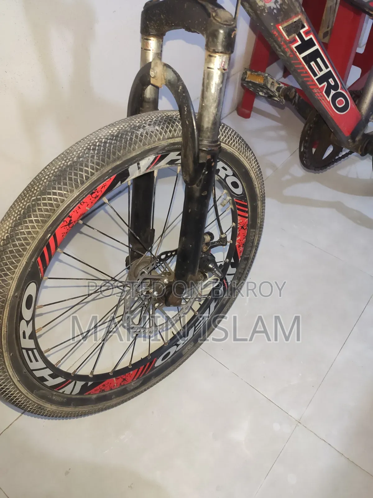 20 Inch Dert Cycle