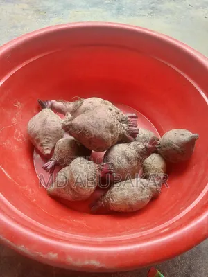 বিট্রুট পাউডার
