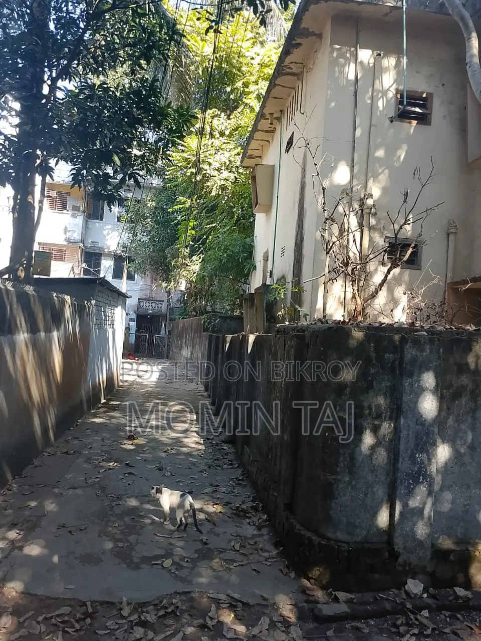 3 Bedroom House in Amber Khana for Sale