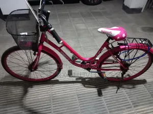 Ladies Bicycle
