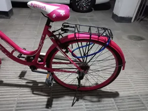Ladies Bicycle