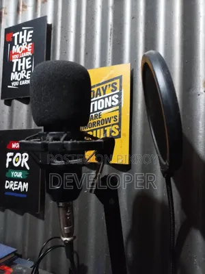 Bm800 Microphone + V8 Sound Card