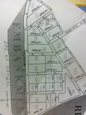 17.25 decimal corner plot for sale near Kuakata beach.