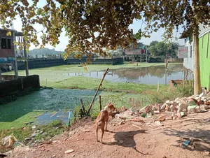 ৫ বেডরুমের অ্যাপার্টমেন্ট বিক্রয় হবে