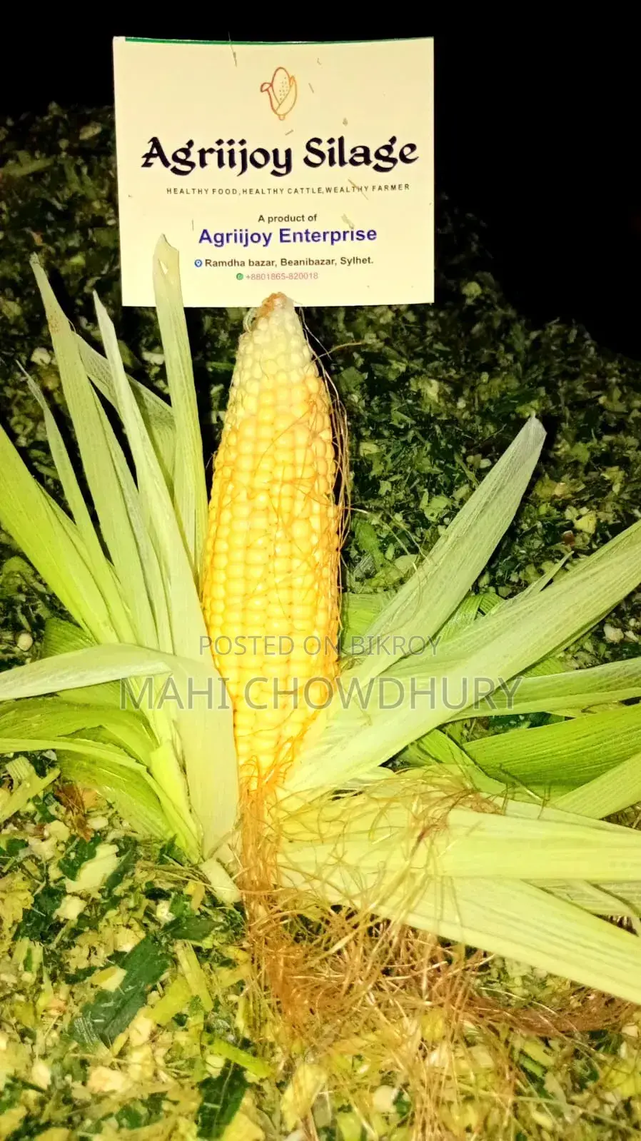 ভূট্রার পিট সাইলেজ (এগ্রিজয় সাইলেজ)