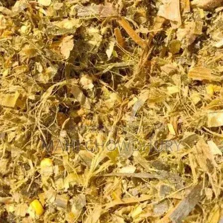 ভূট্রার পিট সাইলেজ (এগ্রিজয় সাইলেজ)