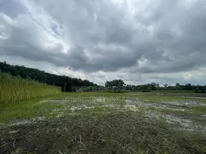 খুলনা-সাতক্ষীরা মহাসড়ক সংলগ্ন ১০ বিঘার অধিক জমি বিক্রয়
