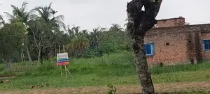 জরুরি বিক্রয়