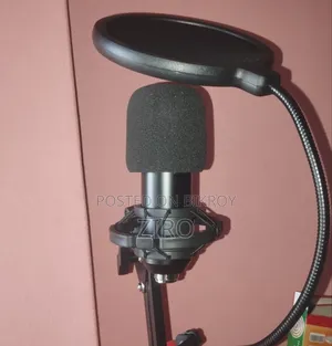 Bm 800 Microphone Original