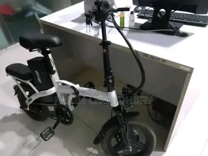 Electric Cycle