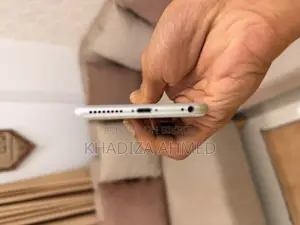 Apple iPhone 6s Plus 64 GB সিলভার
