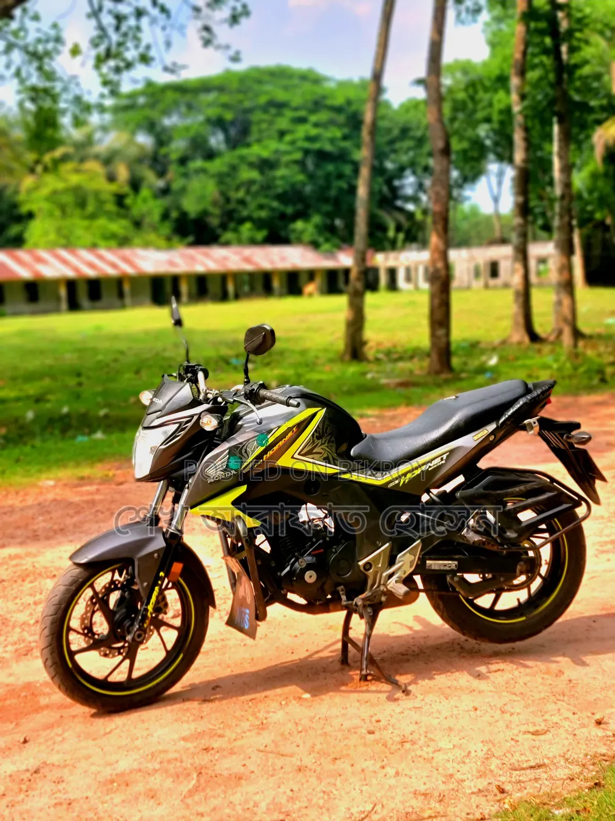 Hero 2020 Gray
