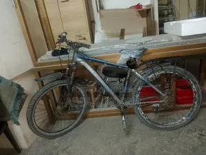 Phoenix Bicycle