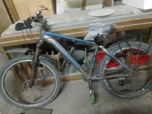 Phoenix Bicycle