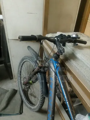 Phoenix Bicycle