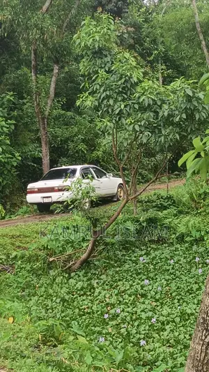 Toyota Corolla G-Touring 1999 White