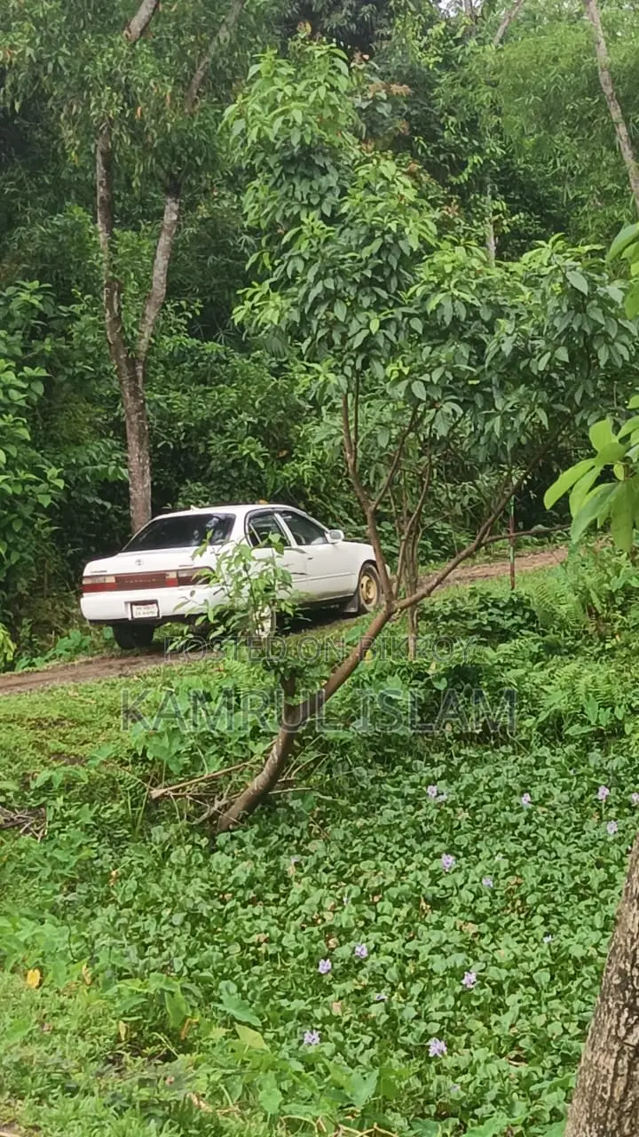 Toyota Corolla G-Touring 1999 White