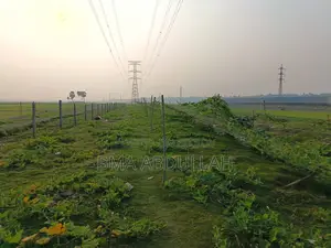 40 Bigha Land For Sale Prime Location Gazipur Sadar