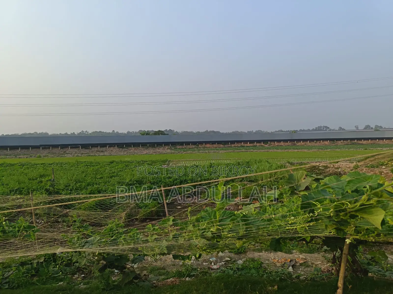 40 Bigha Land For Sale Prime Location Gazipur Sadar