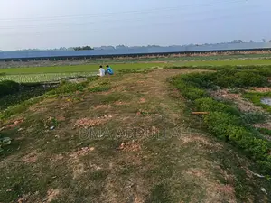 40 Bigha Land For Sale Prime Location Gazipur Sadar