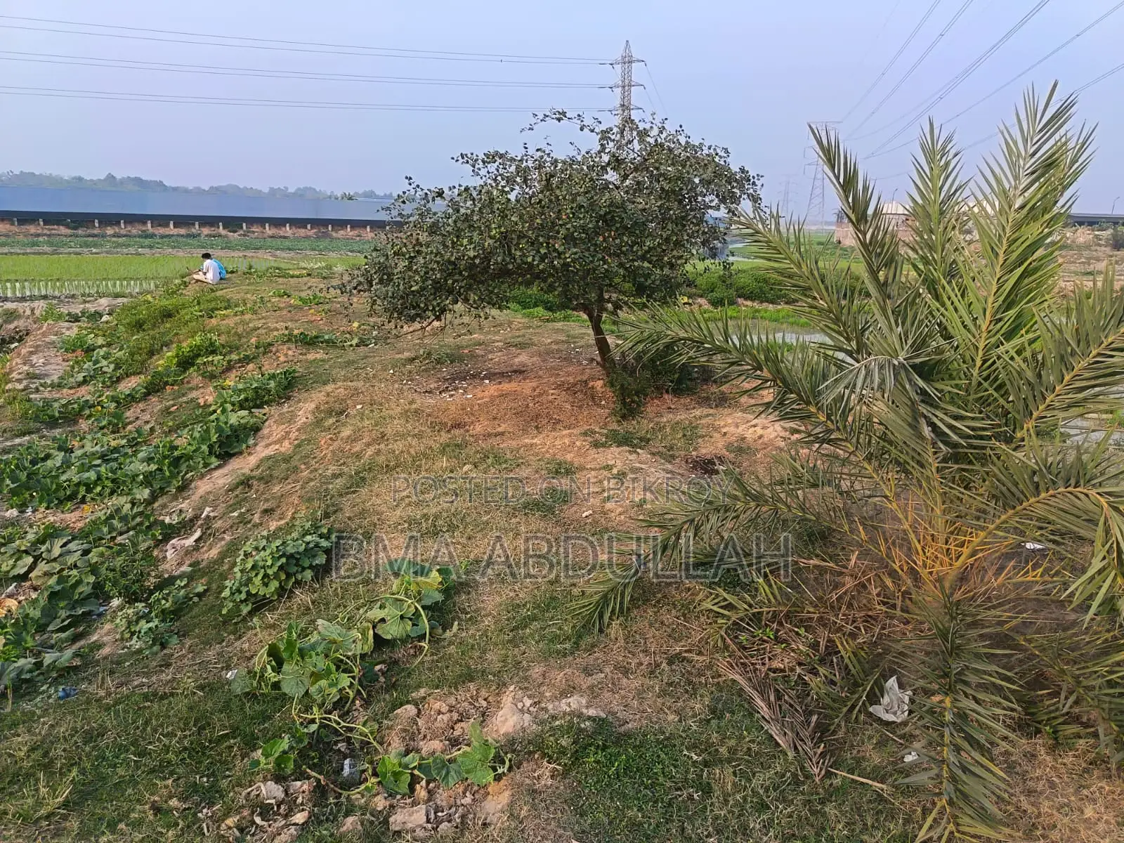 40 Bigha Land For Sale Prime Location Gazipur Sadar