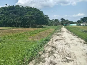 6 Katha Land for Sale in Barishal City