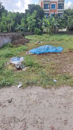 This Could Be Your Perfect and Beautiful Investment