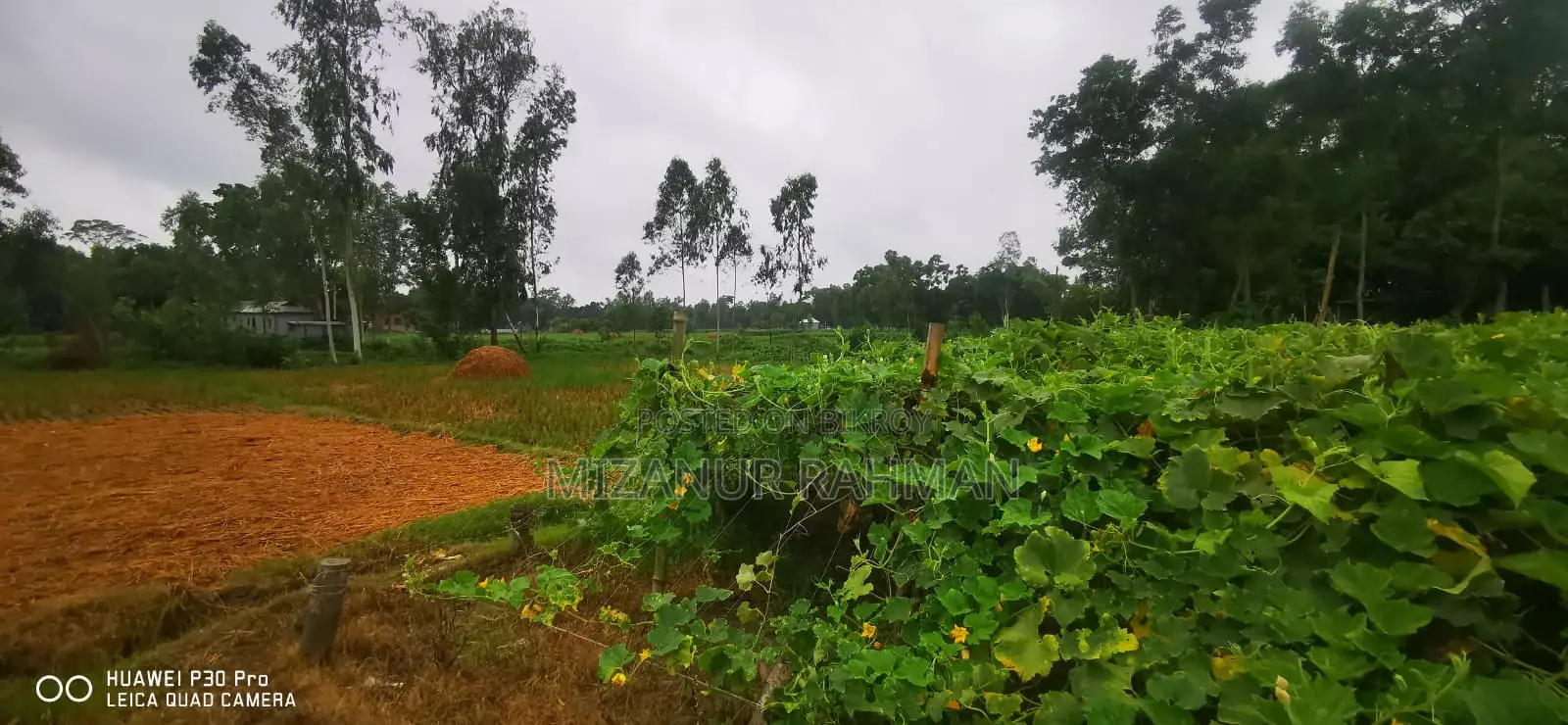 284 Decimals of Land for Sale