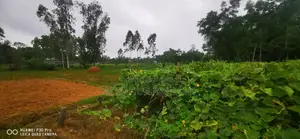 ২৮৪ শতাংশ জমি বিক্রয় হবে