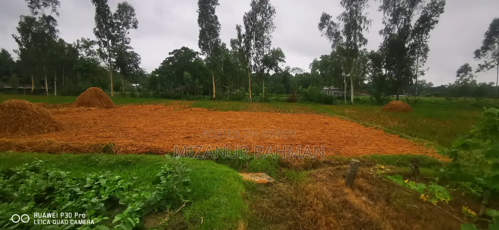 284 Decimals of Land for Sale
