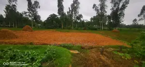 284 Decimals of Land for Sale