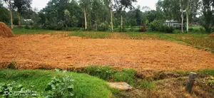 284 Decimals of Land for Sale
