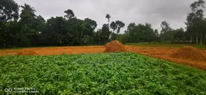 284 Decimals of Land for Sale