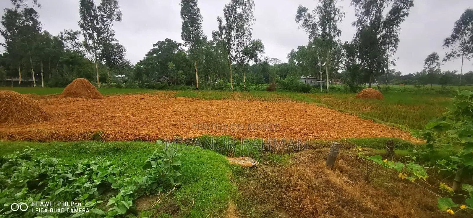 284 Decimals of Land for Sale