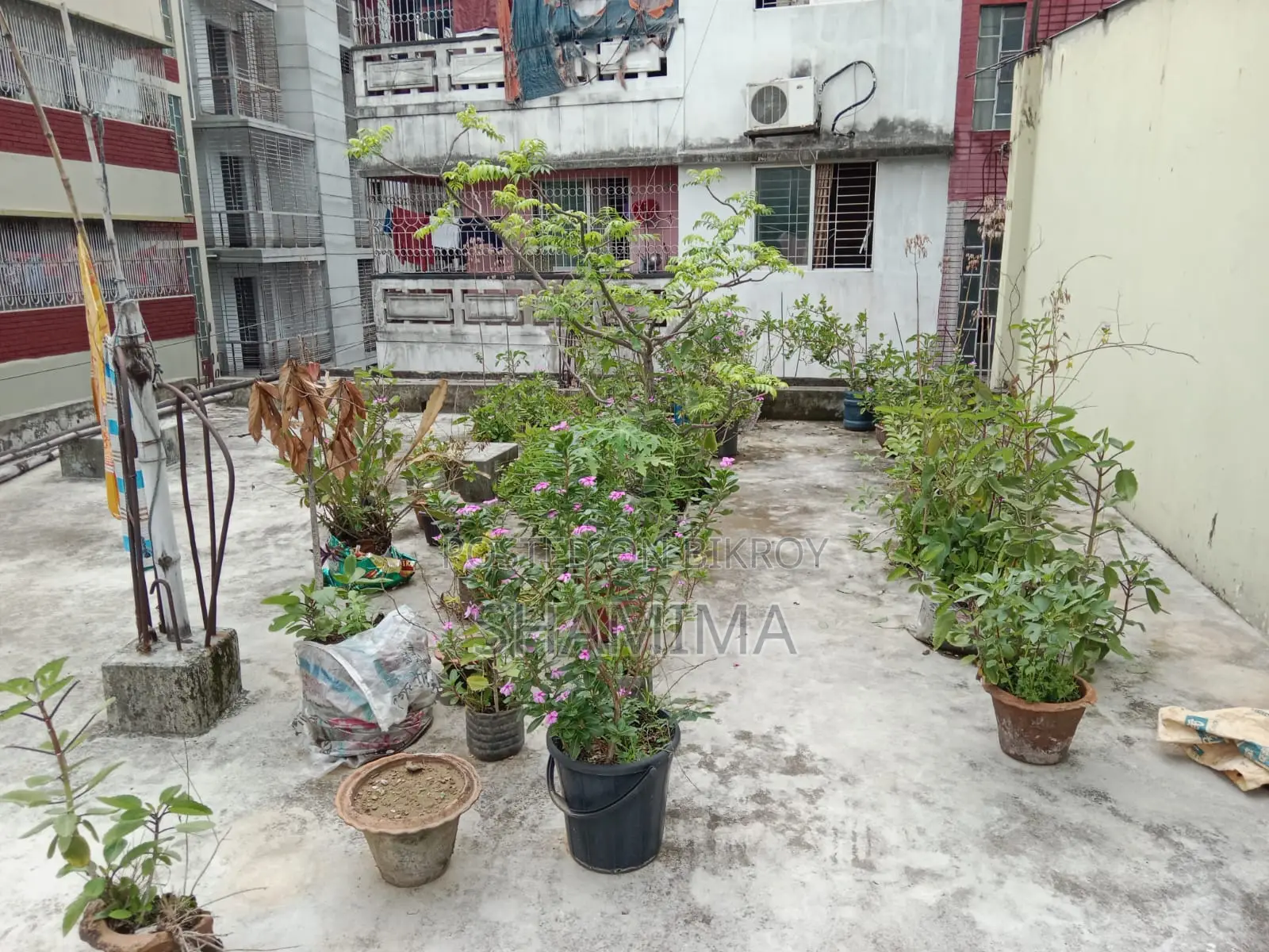 শান্তিনগরে ৪ বেডরুমের বাড়ি বিক্রয় হবে