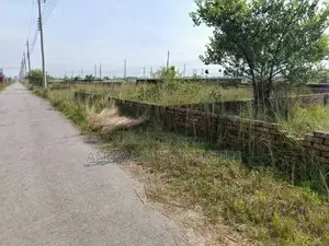 4-Katha plot for sale in P-Block near 60-feet road, Residential Area