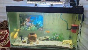 Crystal 10mm Big Aquarium