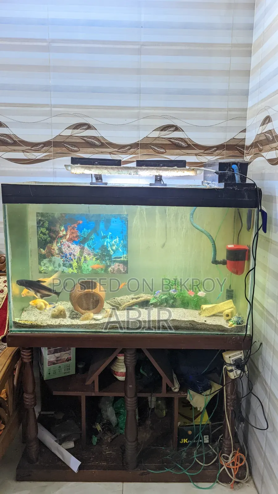 Crystal 10mm Big Aquarium