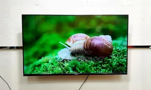 Vision-43" Inch Google TV
