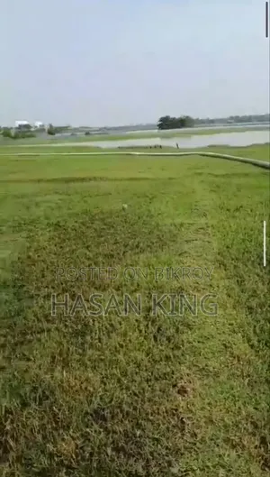 মোংলা দিগরাজ