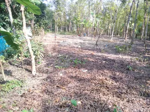 13 decimal land for sale located between Kagashura and Amirganj