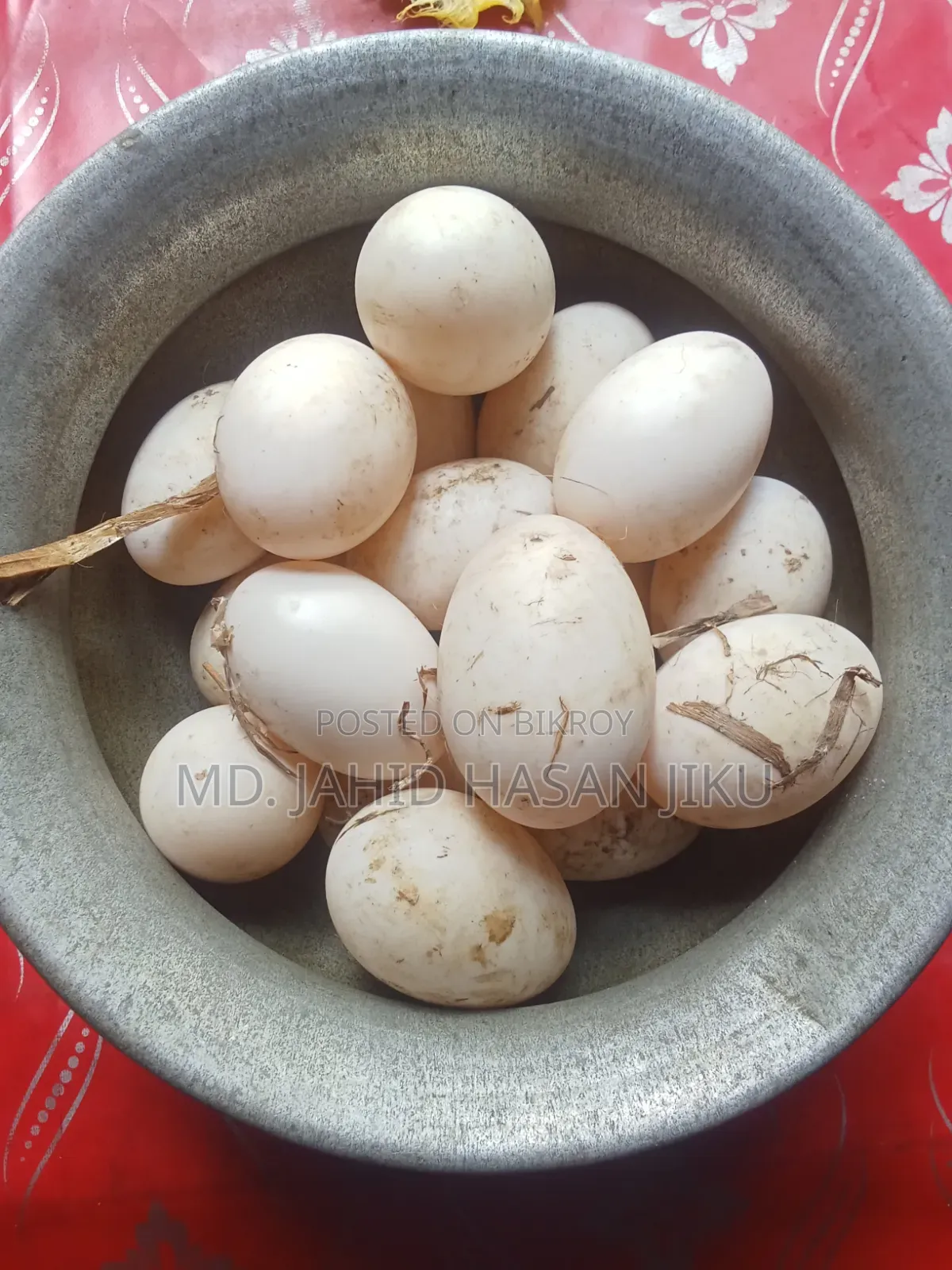 Peking Star-13 Duck Hatching Eggs