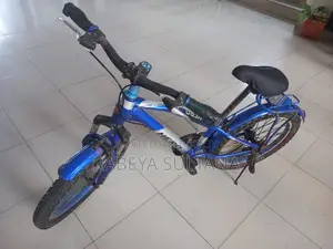 By Cycle Sale
