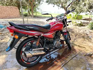 Bajaj Platina 125 2015 Red