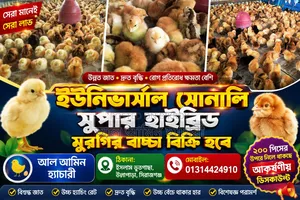 Universal Sonali Super Hybrid Chicks for Sale