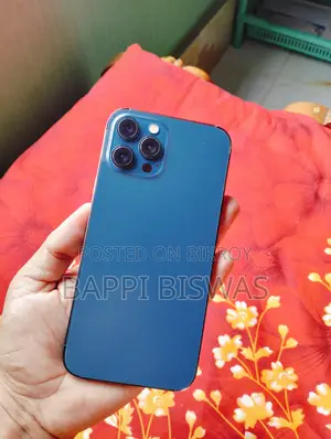 Apple iPhone 12 Pro Max ২৫৬ জিবি ব্লু