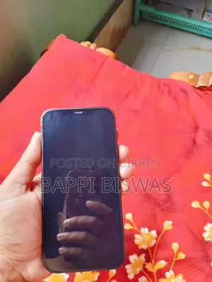 Apple iPhone 12 Pro Max 256 GB Blue