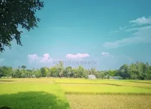 Land Property