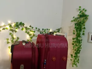 Luggage for Sale