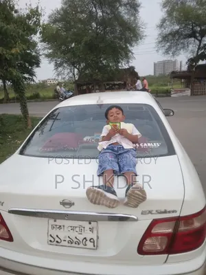 Nissan Sunny 2003 Pearl